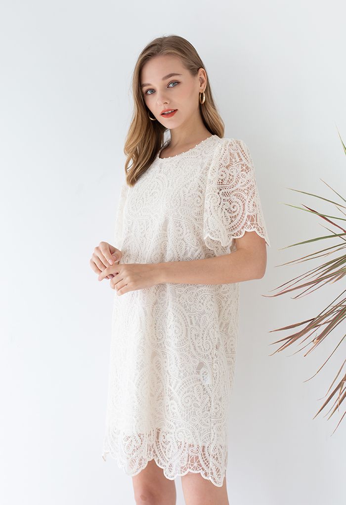 Paisley Embroidered Pearly Neck Shift Dress