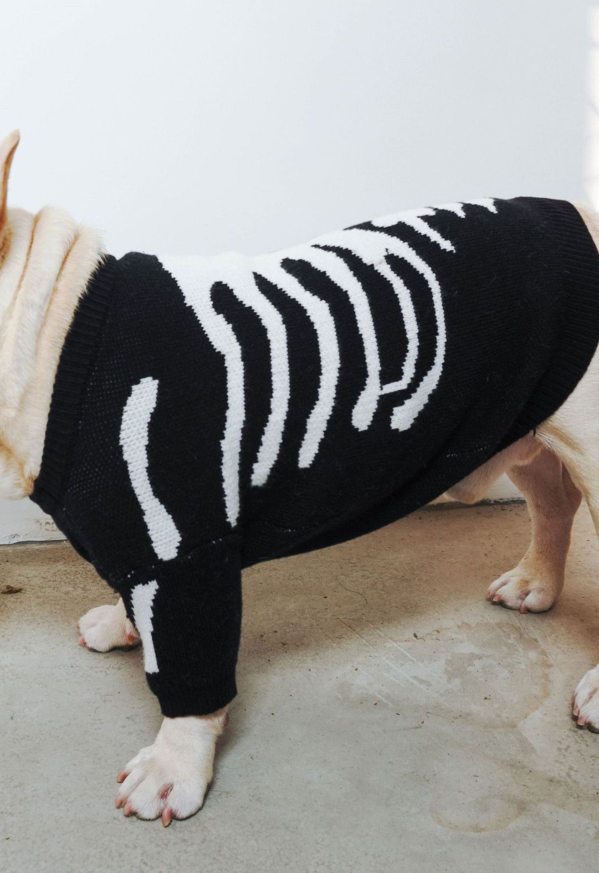 Skeleton Puppy Dog Halloween Sweater